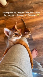 Nastasya Samburskaya feet photo thumbnail