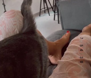 Natali Dadon feet photo 18