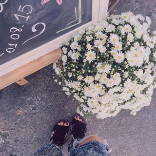 Natalia Cardoso feet photo 18
