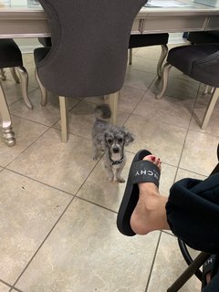 Natalia Class feet photo 18