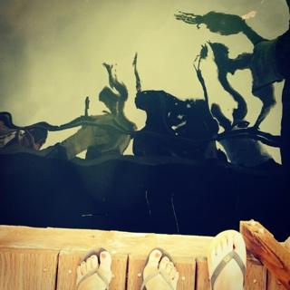 Natalia Lafourcade feet photo 17