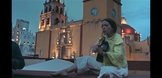 Natalia Lafourcade feet photo 16