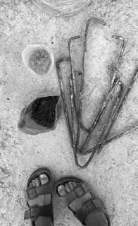 Natalia Lafourcade feet photo 6