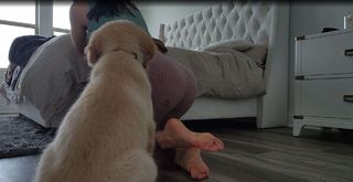 Natalia Mogollon feet photo thumbnail