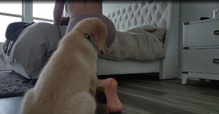 Natalia Mogollon feet photo thumbnail