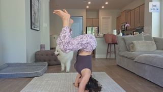 Natalia Mogollon feet photo 5
