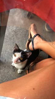 Natalia Paris feet photo 19