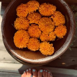 Natalia Paris feet photo 13