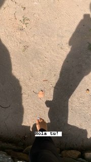 Natalia Paris feet photo 15