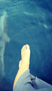 Natalia Reyes feet photo 20