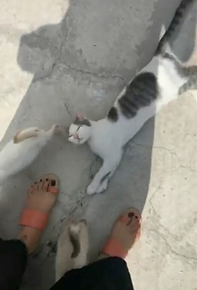 Natalia Valenzuela feet photo 2