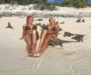 Natalie Eva Marie feet photo thumbnail