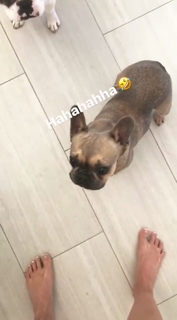 Natalie Eva Marie feet photo thumbnail