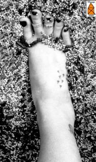 Natalie Maines feet photo 6