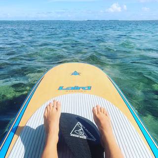 Natalie Maines feet photo 20