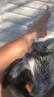 Natalie Maines feet photo 15