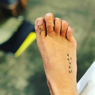 Natalie Maines feet photo 10