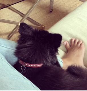 Natalie Mendoza feet photo 3