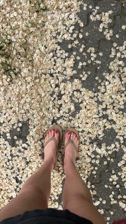 Natalie Sharp feet photo 15