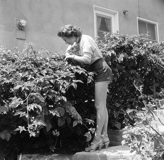 Natalie Wood feet photo thumbnail