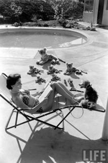 Natalie Wood feet photo thumbnail