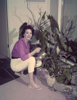 Natalie Wood feet photo 7