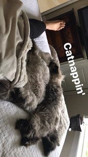 Natalya Neidhart feet photo thumbnail