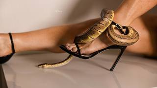 Natalya Neidhart feet photo thumbnail