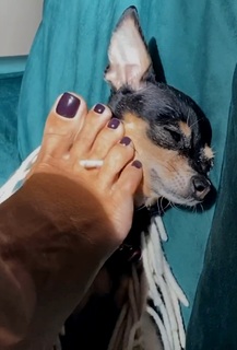 Natalya Rudova feet photo thumbnail