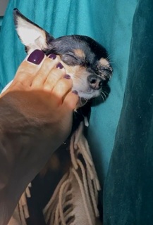 Natalya Rudova feet photo thumbnail