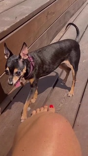 Natalya Rudova feet photo thumbnail