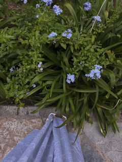 Natalya Zemtsova feet photo 17