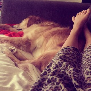 Natasha Bertrand feet photo 18
