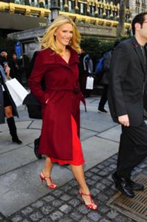 Natasha Henstridge feet photo thumbnail