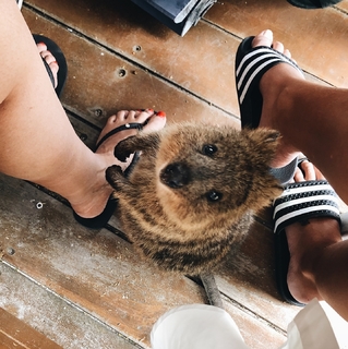 Natasha Oakley feet photo thumbnail