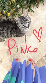 Natasha Stefanenko feet photo thumbnail