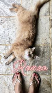 Natasha Stefanenko feet photo thumbnail