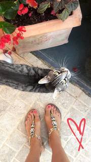 Natasha Stefanenko feet photo thumbnail