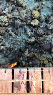 Natasha Stefanenko feet photo thumbnail