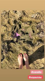 Natasha Stefanenko feet photo thumbnail