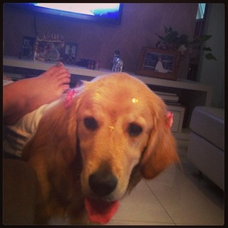 Nathalia Arcuri feet photo thumbnail