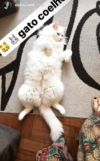 Nathalia Dill feet photo thumbnail