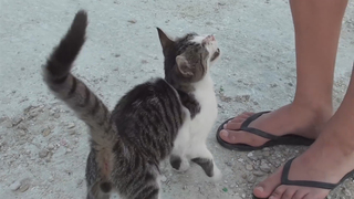 Nathalie Odzierejko feet photo thumbnail