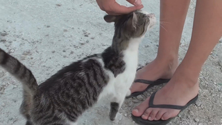 Nathalie Odzierejko feet photo thumbnail