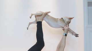 Nathalie Odzierejko feet photo thumbnail