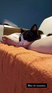 Nathália Rodrigues feet photo 8