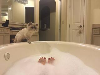 Nattie Neidhart feet photo thumbnail