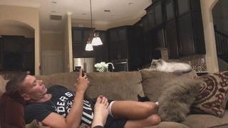 Nattie Neidhart feet photo thumbnail