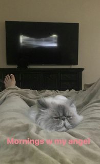 Nattie Neidhart feet photo thumbnail