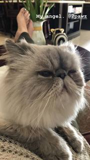 Nattie Neidhart feet photo thumbnail